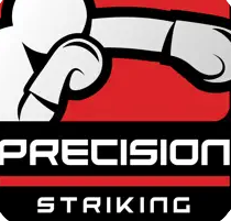 Boxing app Precision Boxing Coach