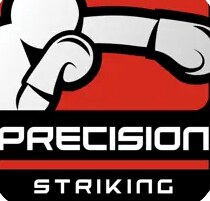 Logo of precision 2026 app icon