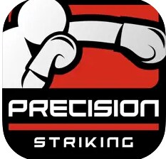 Boxing app Precision Striking