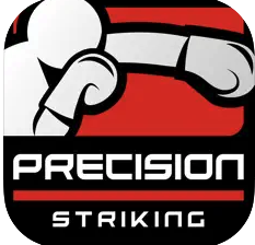 Boxing app Precision Striking