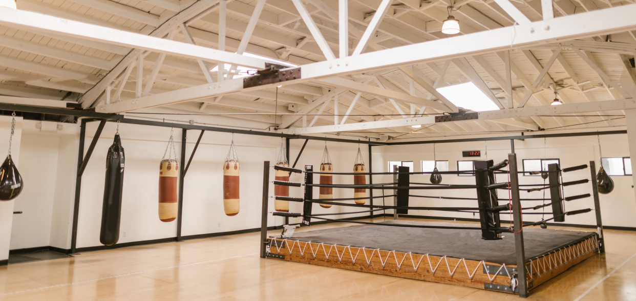 Boxing app blog article