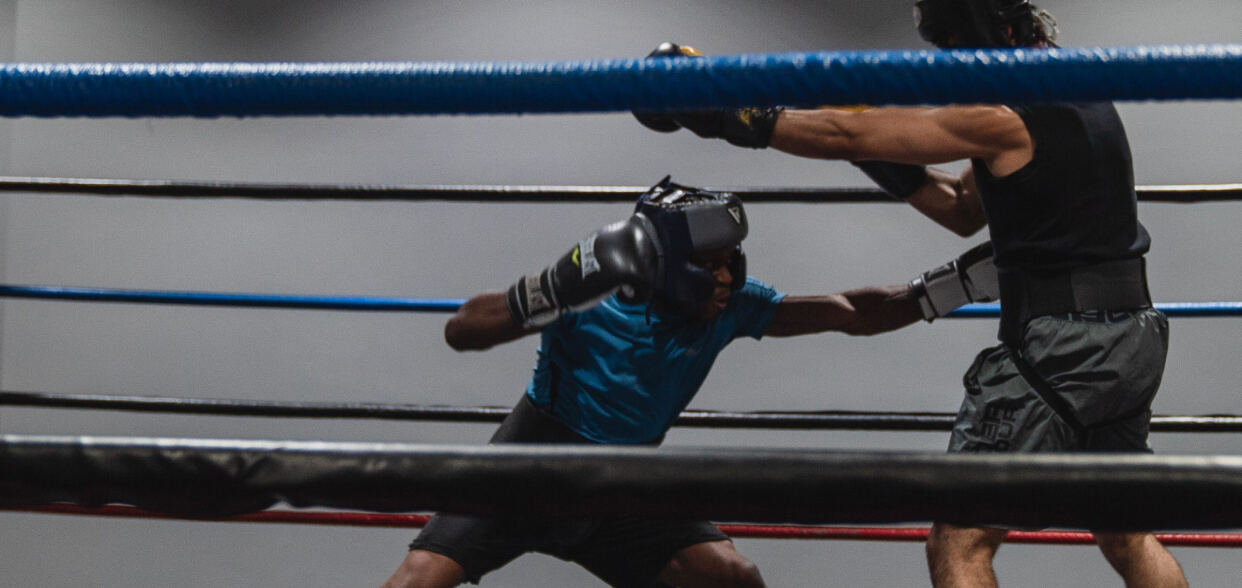 Boxing app blog article