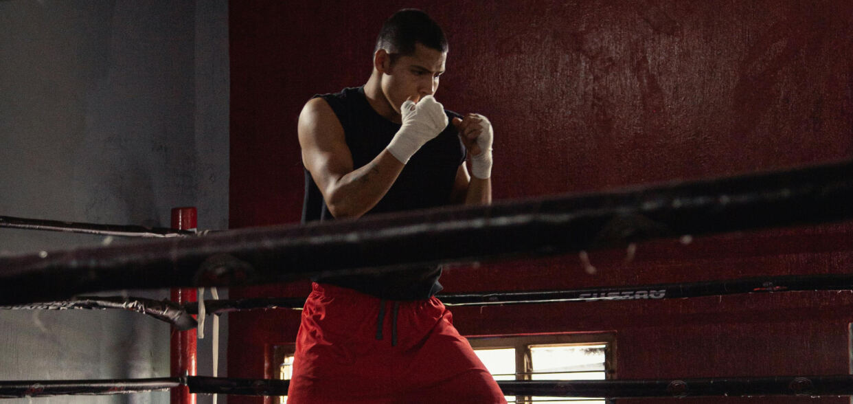 Boxing app blog article