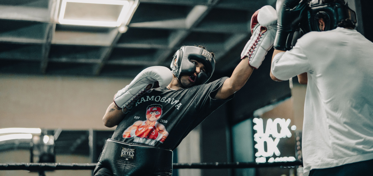 Boxing app blog article