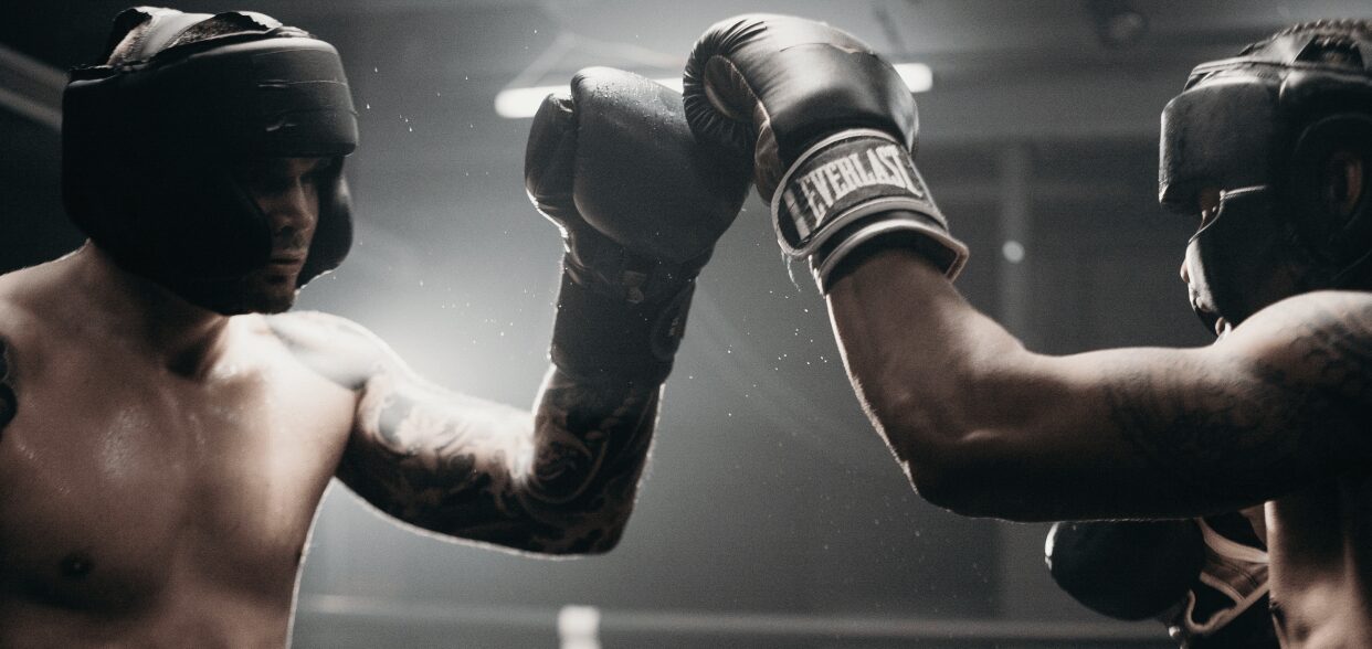 Boxing blog article
