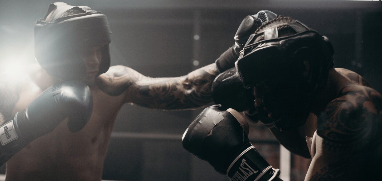 Boxing blog article