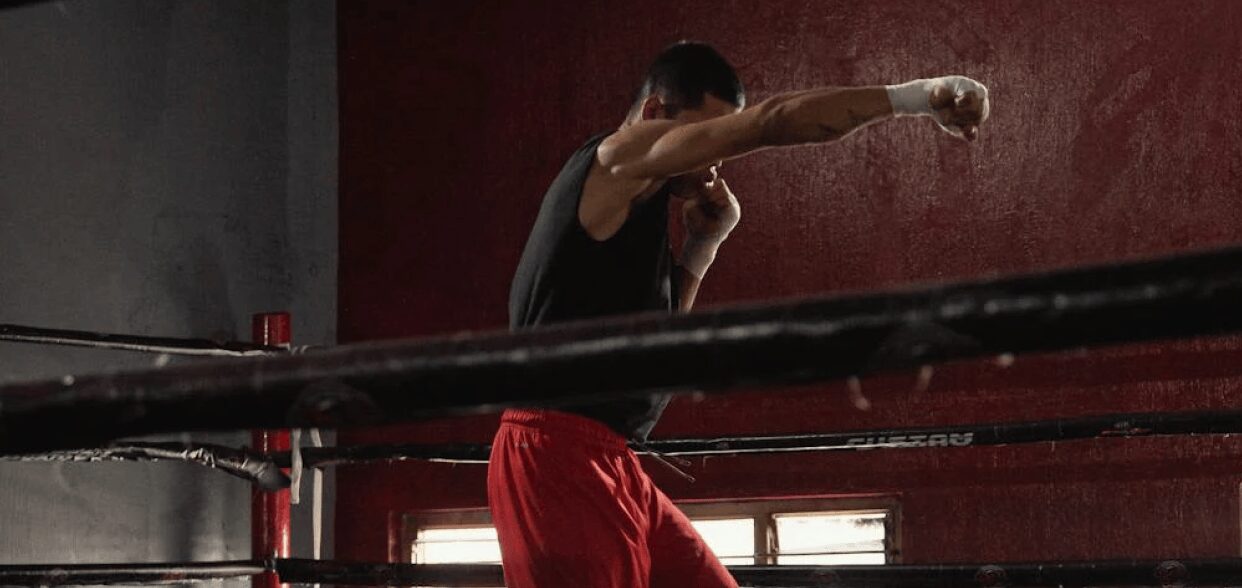 Boxing blog article