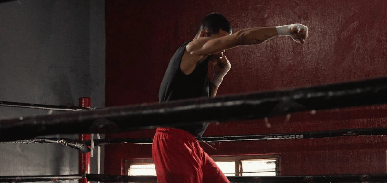 Boxing blog article