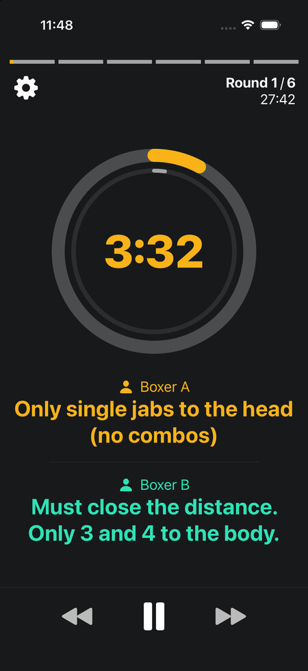 boxerA boxerB during workout guidelines