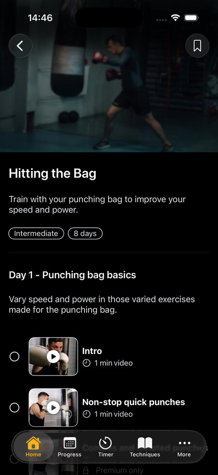 hitting the bag program