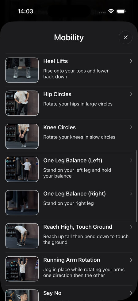 list of mobility exercises