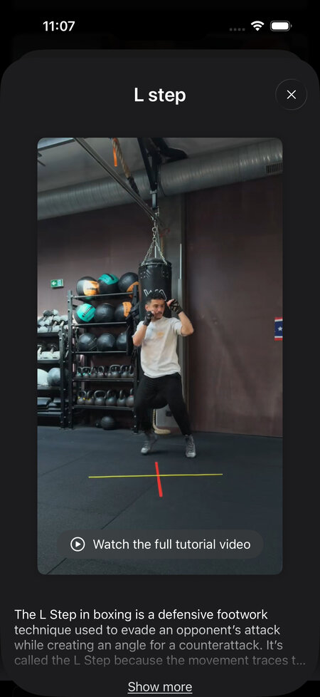 lstep in technique catalogue