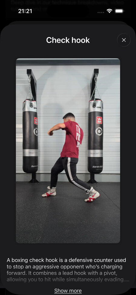 technique advanced punch check hook