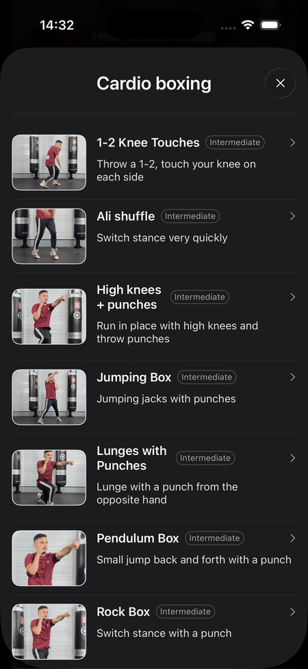 techniques cardio boxing