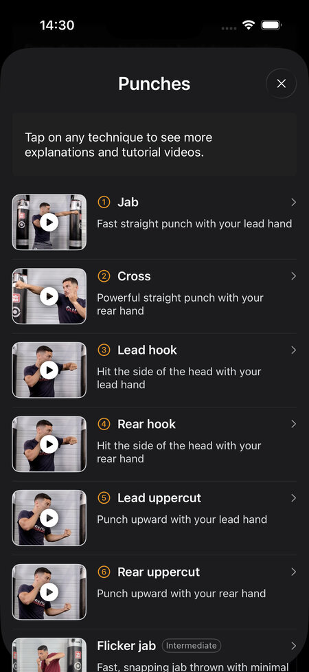 techniques punches