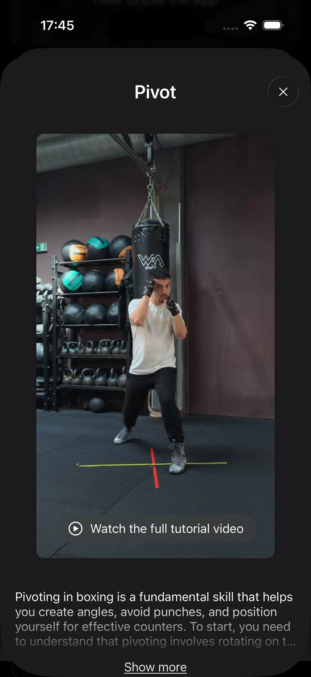 Boxing technique tutorial videos in the app